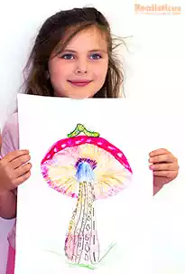 Art Lessons in Auckland - Mushroom Drawing
