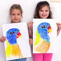 Art Lessons in Auckland - Parrot Drawing