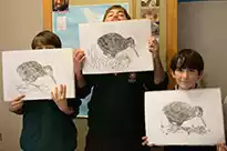 Realisticus Art Academy Kiwi Drawing