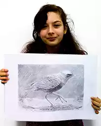 Art Lessons in Auckland - Bird Realistic Drawing Lesson