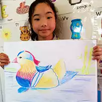 Art Lessons in Auckland  - Mandarin-Duck-Bird