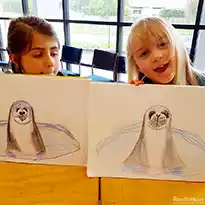 Art Lessons in Auckland  - Cute Seal Drawing