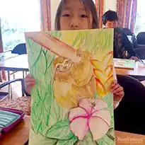 Art Lessons in Auckland - Sloth Drawing