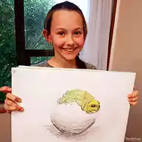 Art Lessons in Auckland  - Turtle Drawing